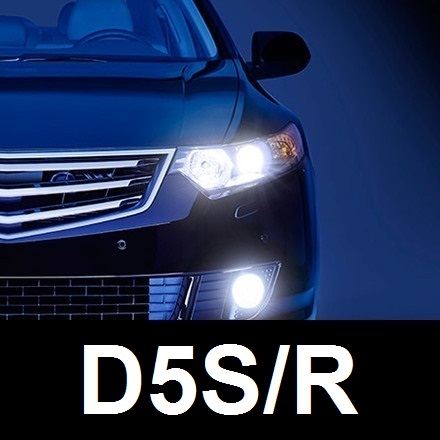 D5S
