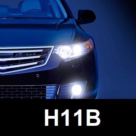 H11B