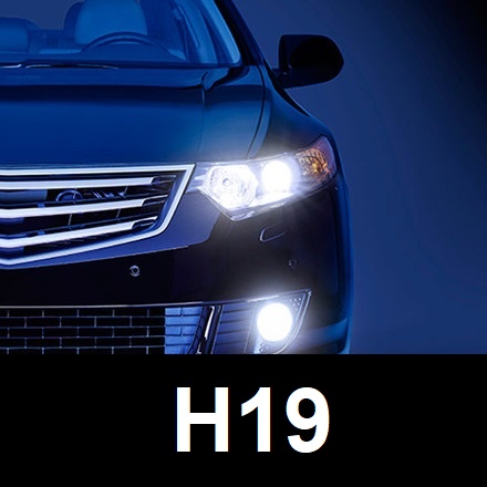 H19