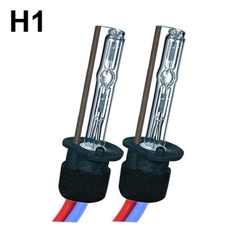 H1