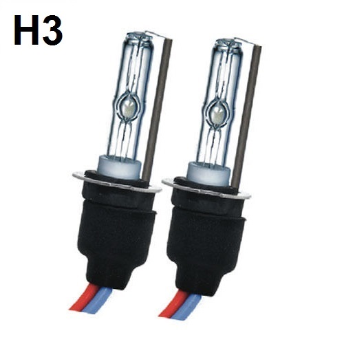 H3