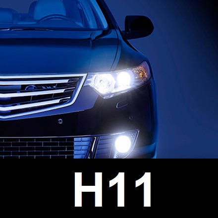 H11