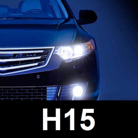 H15