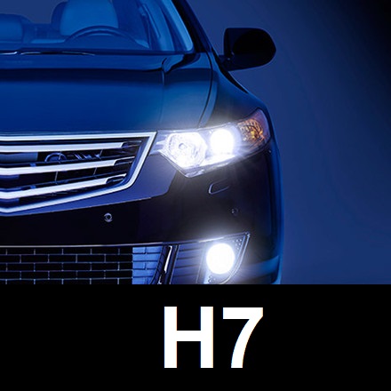 H7