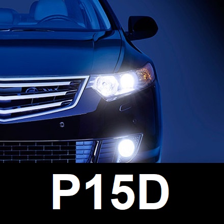 P15D