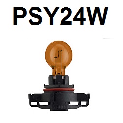 PSY24W