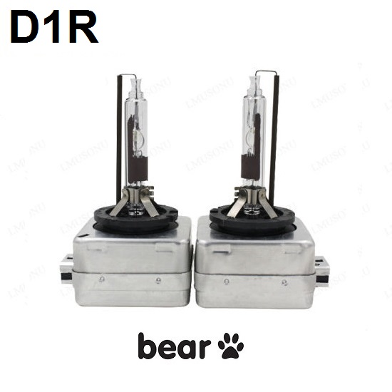 D1R