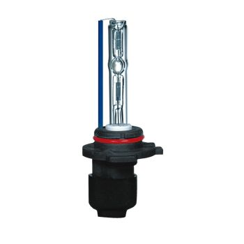 XENON SIJALICA H10 - BEAR CLASSIC