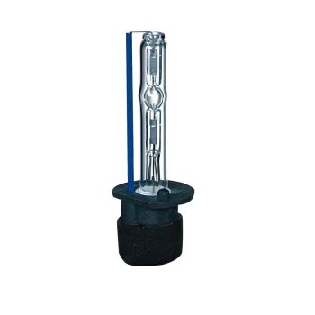 XENON SIJALICA H1 - BEAR CLASSIC